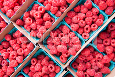 Raspberries