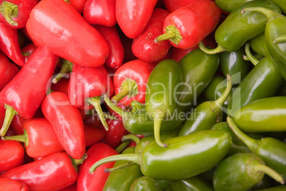 Jalapeno Chili Peppers