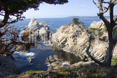 Rugged California Coastline