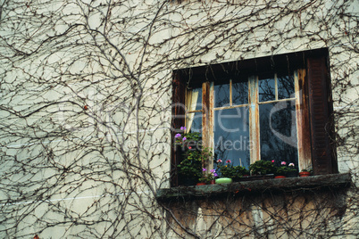 Paris Window 4