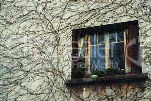 Paris Window 4