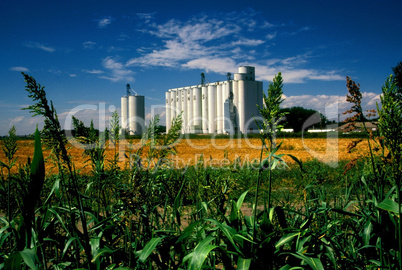 Grain Storage: Nebraska