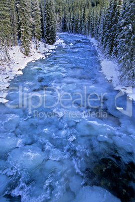 Maligne River 13