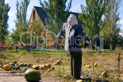 Scarecrow and Barn