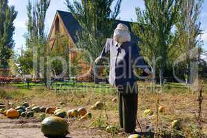 Scarecrow and Barn