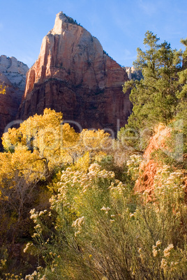 Zion National Park, Utah