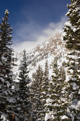 Snowy Winter Scene