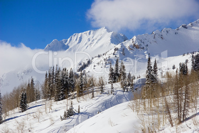 Snowy Winter Scene