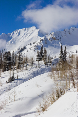 Snowy Winter Scene