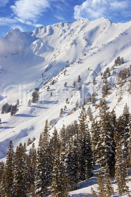 Snowy Winter Scene