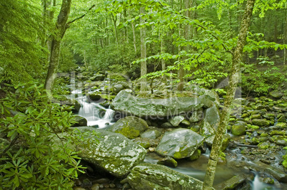 Roaring Fork, Great Smoky Mtns