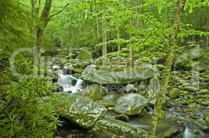 Roaring Fork, Great Smoky Mtns