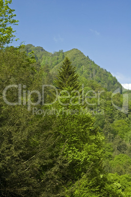 Great Smoky Mountains National Park