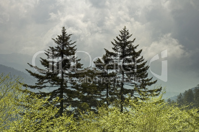 Great Smoky Mountains National Park