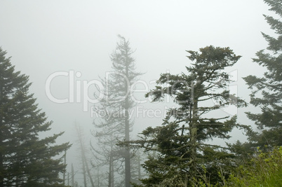 Great Smoky Mountains National Park