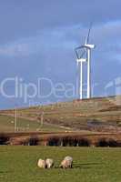 Scotland. Wind Turbines