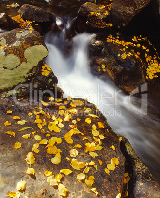 Small Waterfall in Autumn