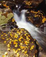 Small Waterfall in Autumn