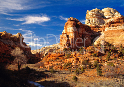 Calf Creek Canyon Trail