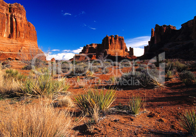 Arches National Park