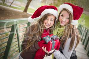 Two Smiling Women Santa Hats Holding a Wrapped Gift