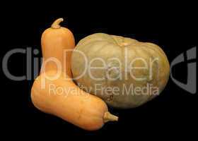 Isolated Butternut Squashes and Pumpkin