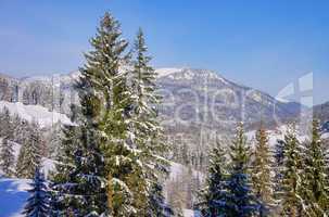 Alpen im Winter