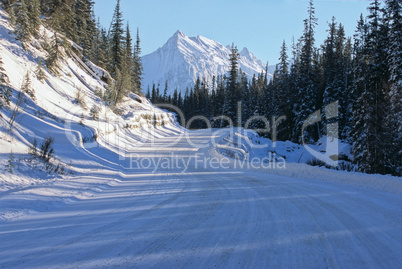 Maligne Lake Road 6