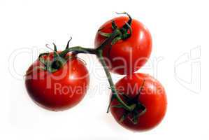 Tomatoes on the vine 1