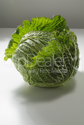 Cabbage