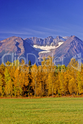 Hudson Bay Mountain and fall colour