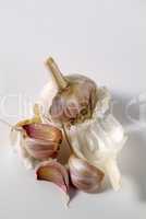 Garlic, alium sativum