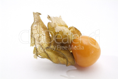 Golden Berry, Phisalis Peruviana