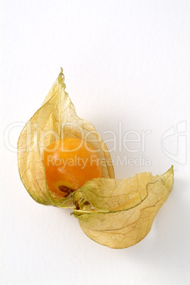 Golden Berry, Phisalis Peruviana