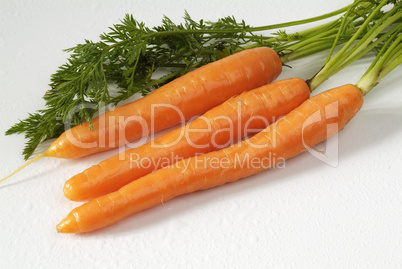 Carrot