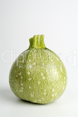 round marrow round marrow