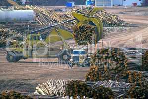 Log truck and loader