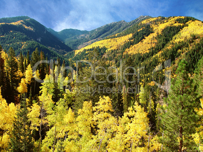 Autumn, Wasatch Mountains Utah