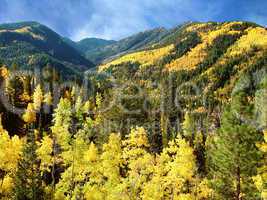 Autumn, Wasatch Mountains Utah