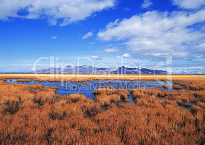 Great Salt Lake, Utah