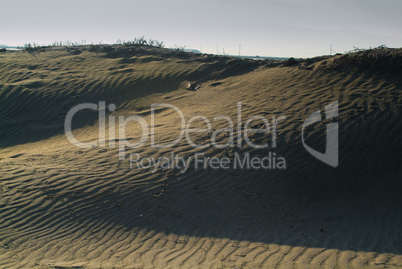 Dune beach