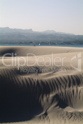 Beach dune