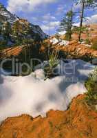 Snow and Sandstone, Zion Utah