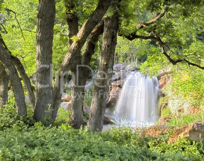 Waterfall and Oak Trees