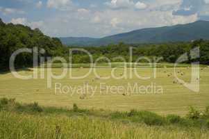Hay in Field, East Tennessee