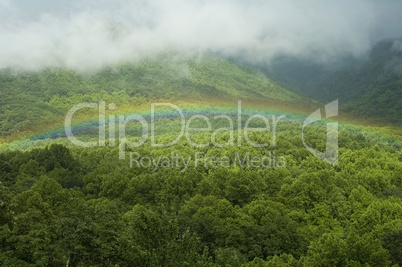 Rainbow, Great Smoky Mtns NP