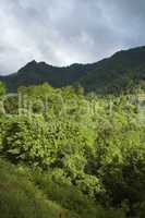 The Chimneys, Great Smoky Mtns NP