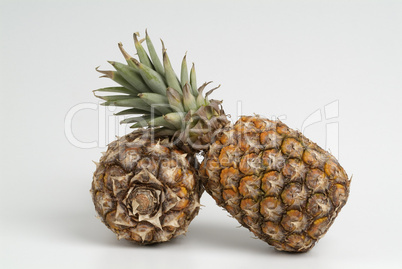 Pineapples