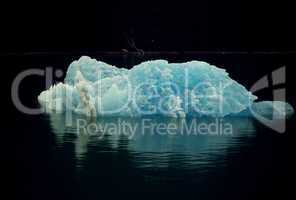 Iceberg on Tracy Arm, Alaska
