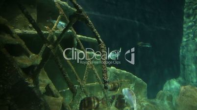 Sunken Ship at deep underwater